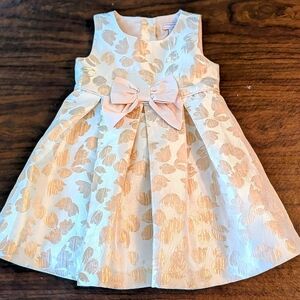 Catherine Malandrino Mini Formal Toddler Dress Rose Gold Gorgeous Detail Pink